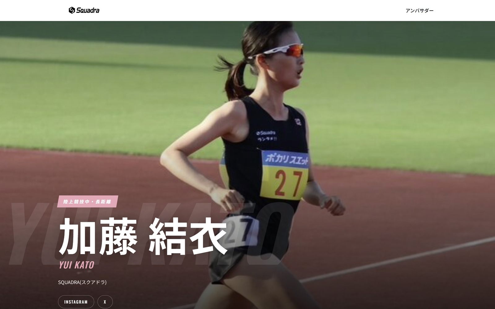 スクアドラアンバサダーズで制作された個人サイトの例